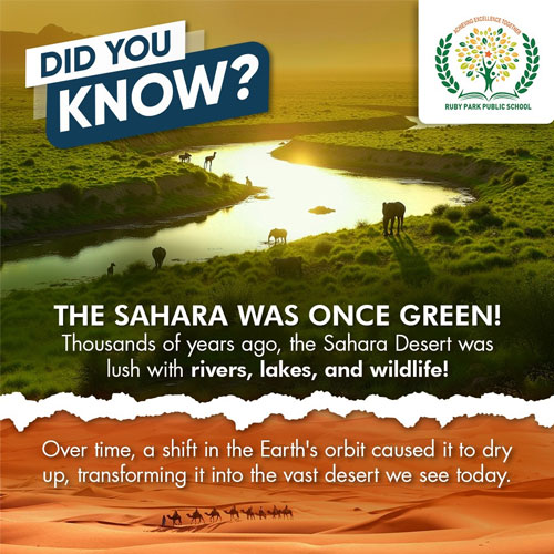 Did You Know?