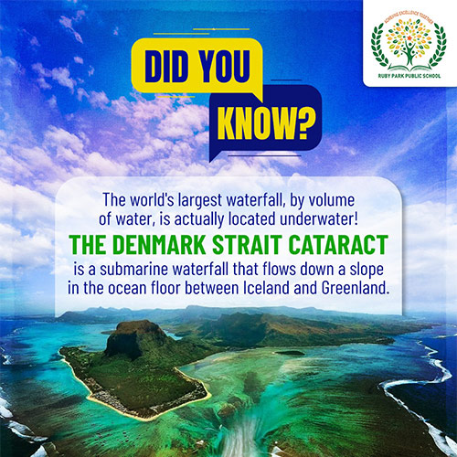 Did You Know?