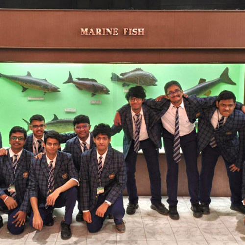 The origin of species - Indian Museum 2025-26