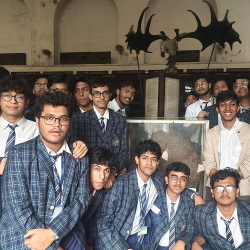 The origin of species - Indian Museum 2025-26